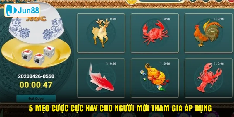 5 mẹo cược cực hay cho người mới tham gia áp dụng