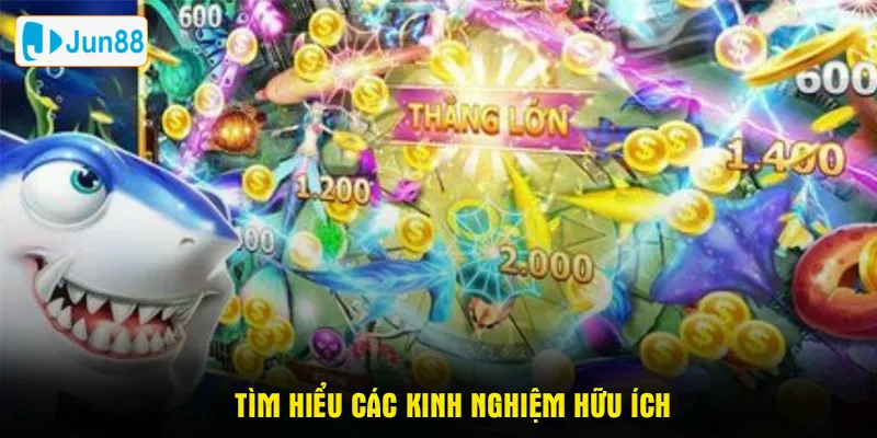 Tìm hiểu các kinh nghiệm hữu ích từ cao thủ để nâng cao chiến thuật